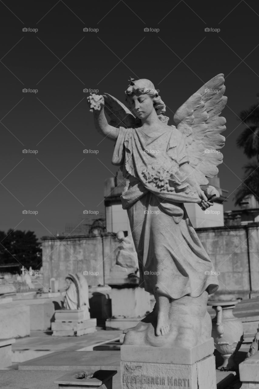 The Colon Cemetery, or more fully in the Spanish language Cementerio de Cristóbal Colón, was founded in 1876 in the Vedado neighbourhood of Havana, Cuba on top of Espada Cemetery. Named for Christopher Columbus, the 140 acre (57 ha) cemetery is noted for its many elaborately sculpted memorials. It is estimated that today the cemetery has more than 500 major mausoleums, chapels, and family vaults.
Colon Cemetery is one of the great historical cemeteries of the world, and is generally held to be the most important in Latin America in historical and architectural terms, second only to La Recoleta in Buenos Aires. Prior to the opening of the Colon Cemetery, Havana's dead were laid to rest in the crypts of local church catacombs and then, beginning in 1806, at Havana's newly opened Espada Cemetery. When locals realized there would be a need for a larger space for their community’s dead (due to an 1868 cholera outbreak), planning then began for the Colon Cemetery.