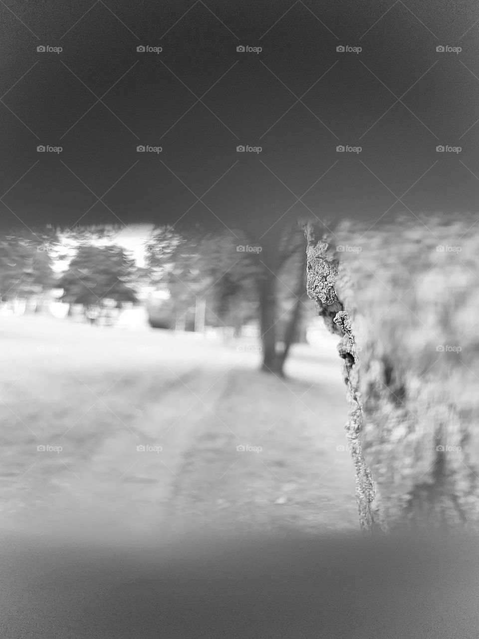 Beautiful day in the park