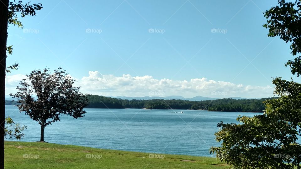 Tree, No Person, Water, Landscape, Outdoors