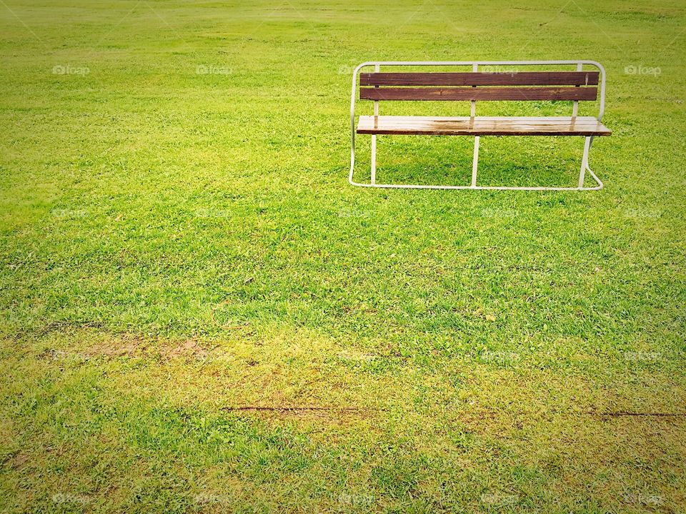 Under the rain. Raim soaked bench on the lawn