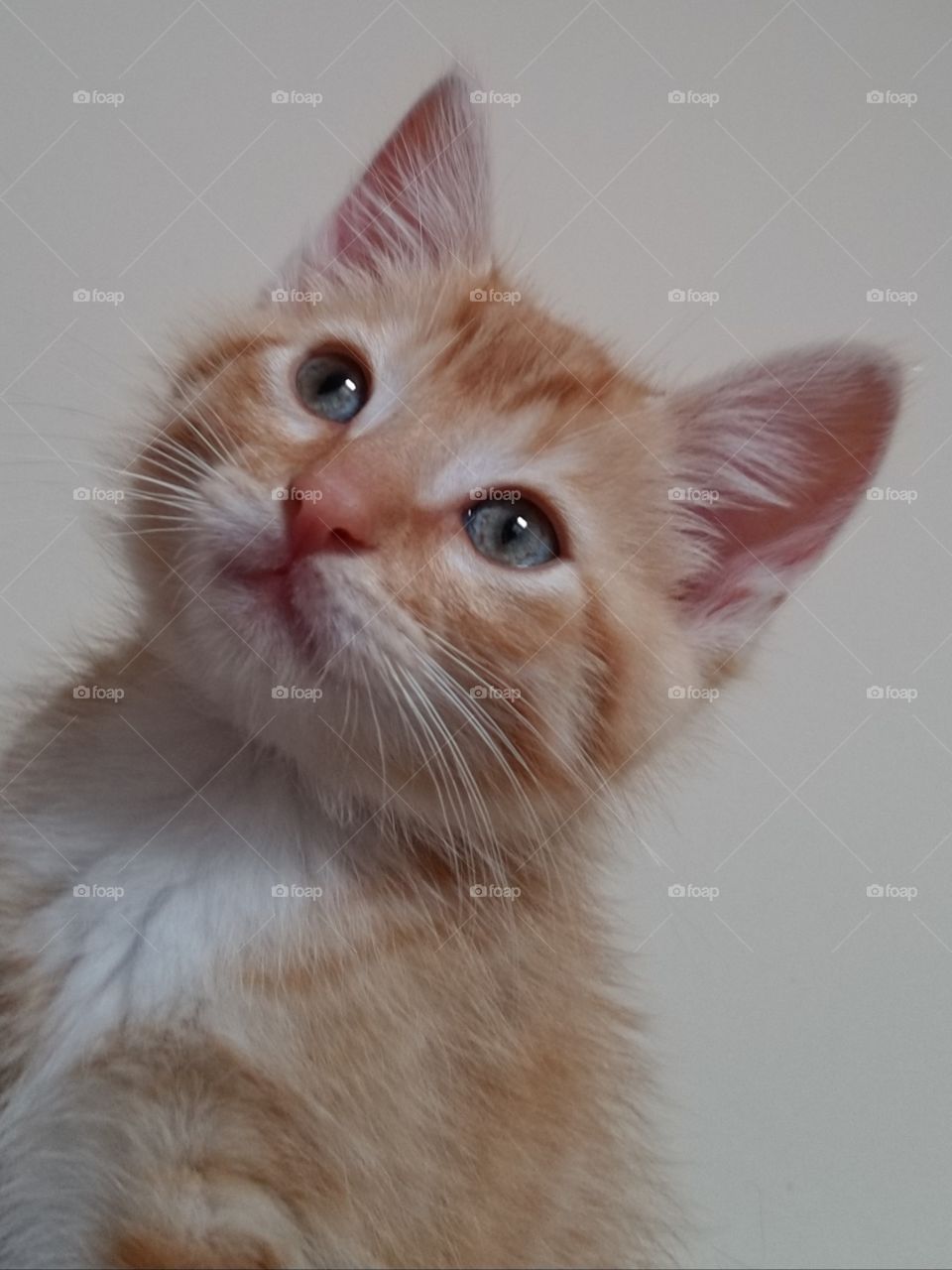 Ok I will pose for one picture then i have mischief to return to!