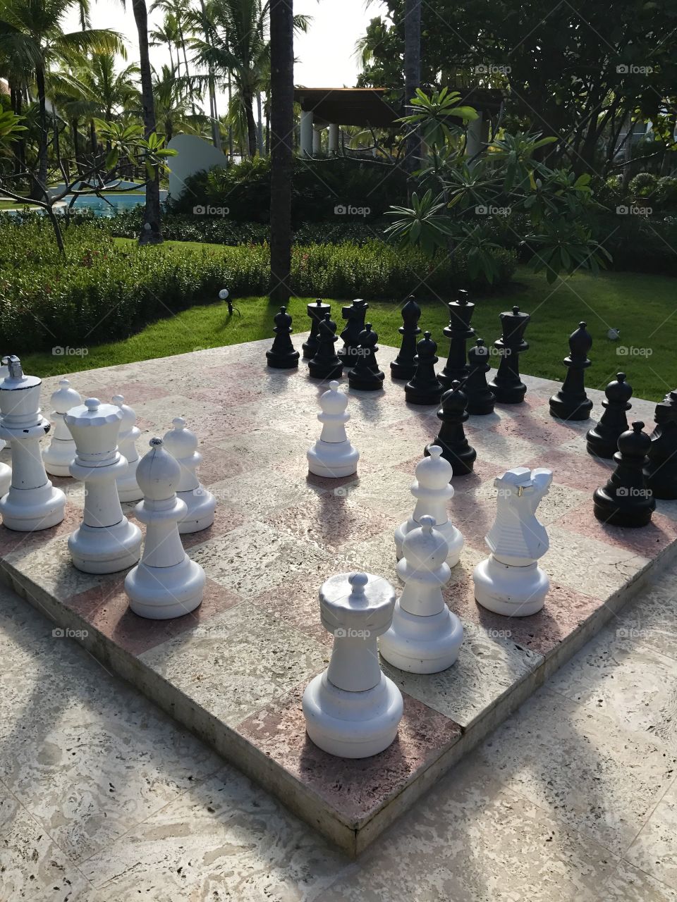 Chess Anyone?