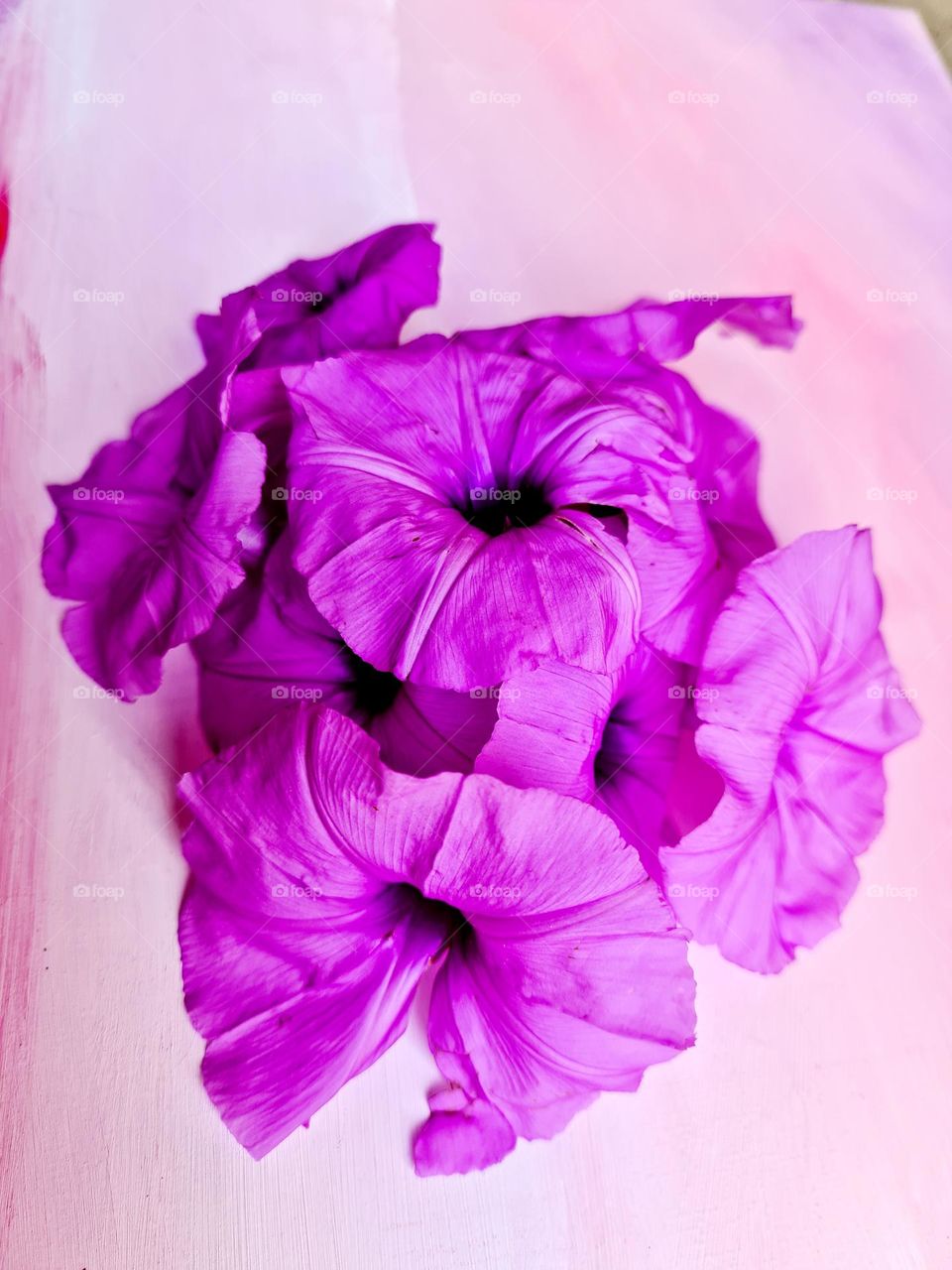 soft purple flowers placed on top of a painted canvas