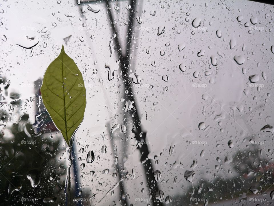 Rainny drop with glass and leave