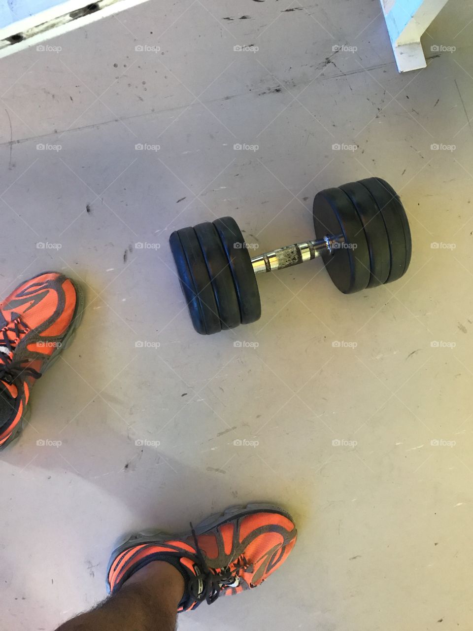 Workout concept dumbbell in the floor 