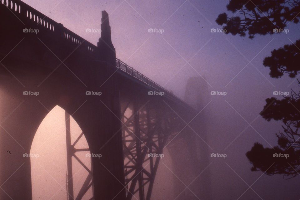 Bridge foggy morning purple pink Hugh dusk sunrise