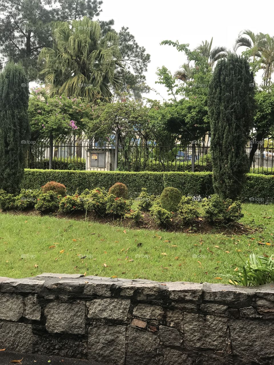 Hospital Green parking location 