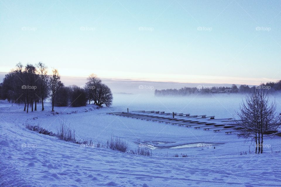 Winter morning 