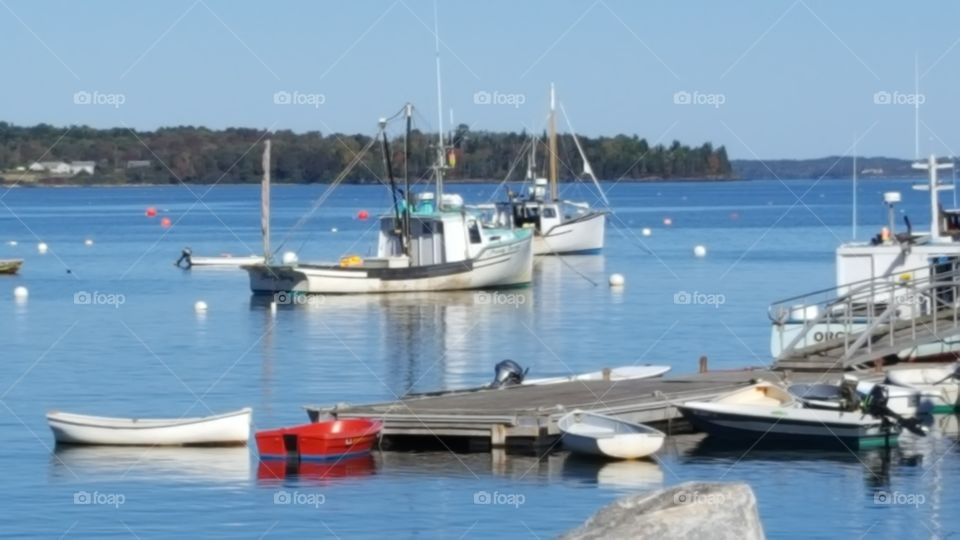 the quintessential Maine harbor