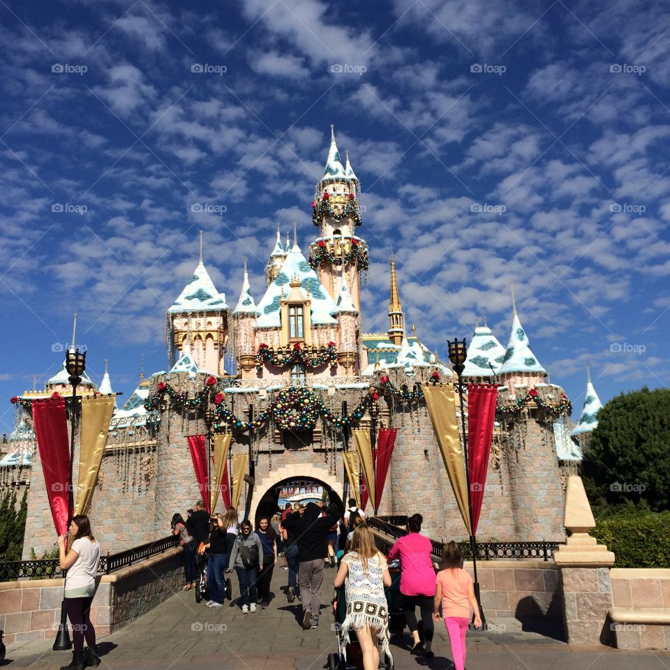Disneyland Castle. Disneyland Castle