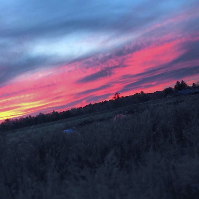 Farm sunsets 