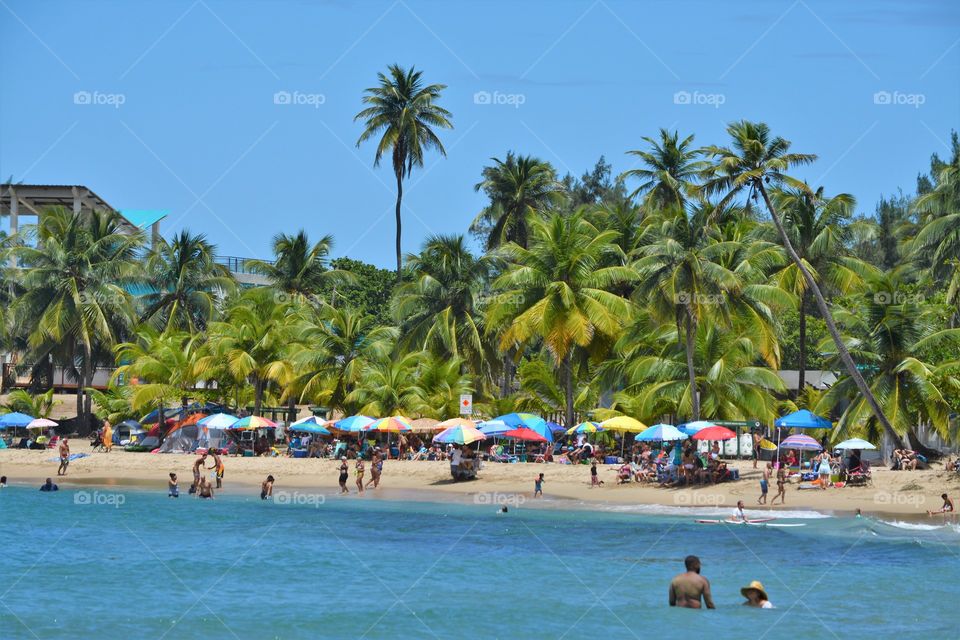 Beach Umbrellas line the shore in Puerto Rico