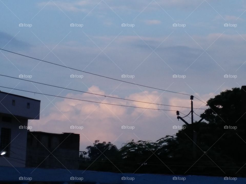 View of tree at sunset