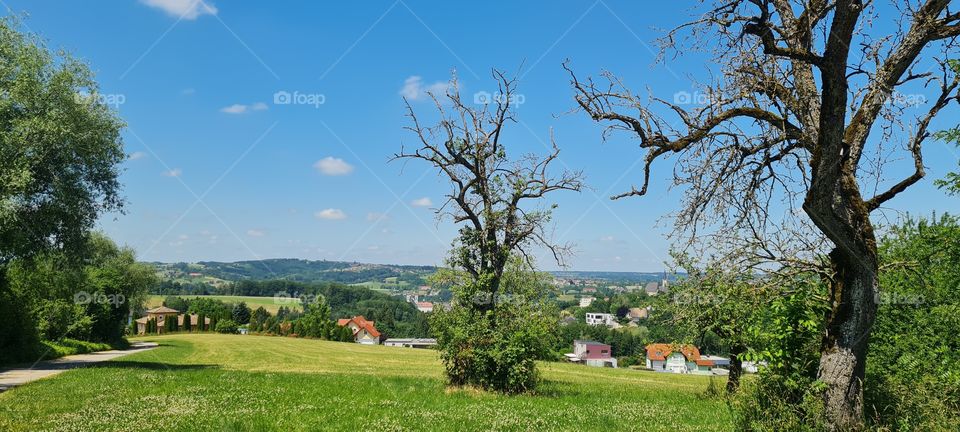 Summer in the country