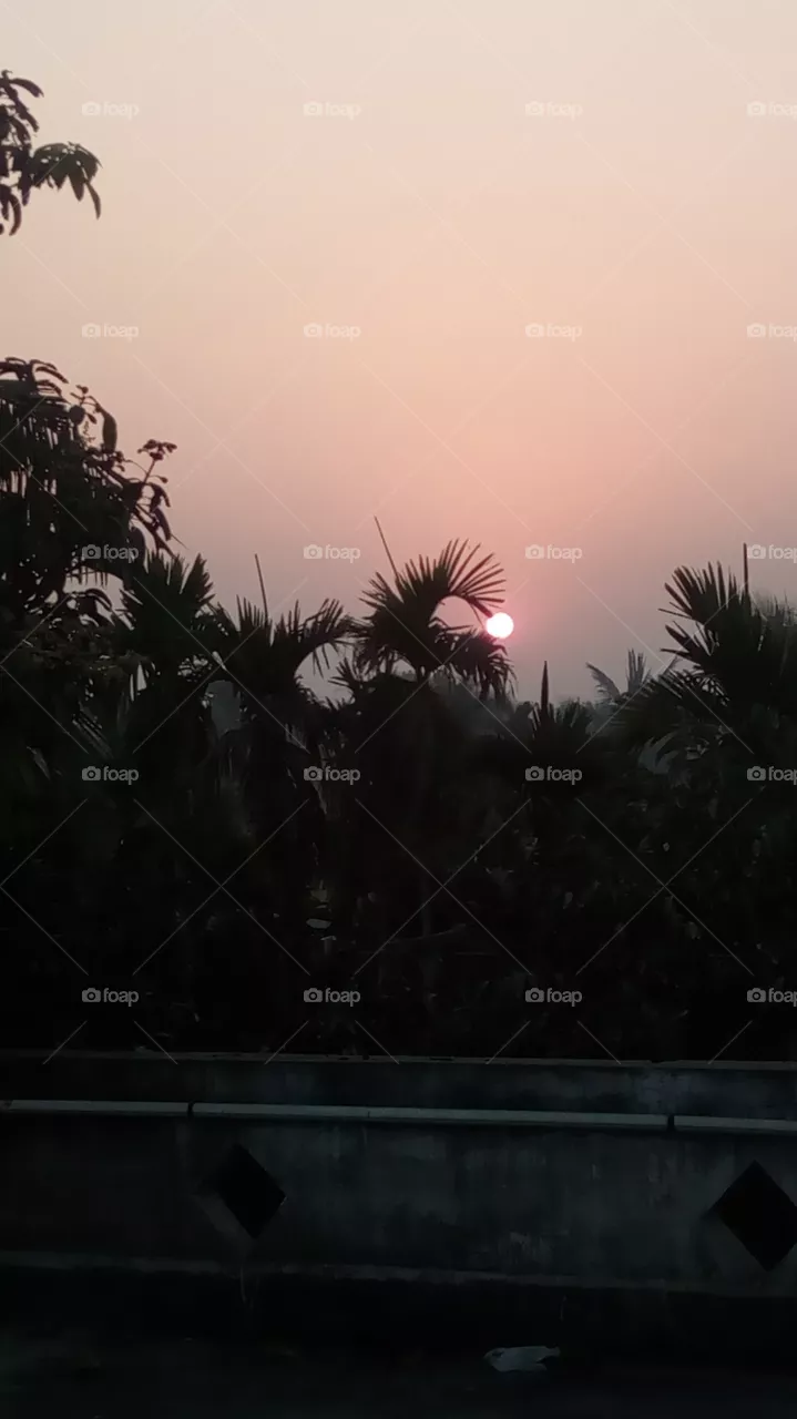sun set