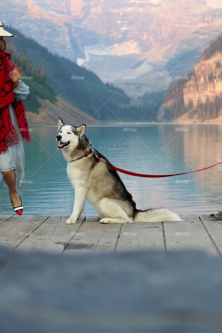 Blue-eyed Siberian husky dog on red leash sitting beside turquoise blue Lake Louise in Canada's Rocky Mountains, woman in red shoes and dress beside the dog