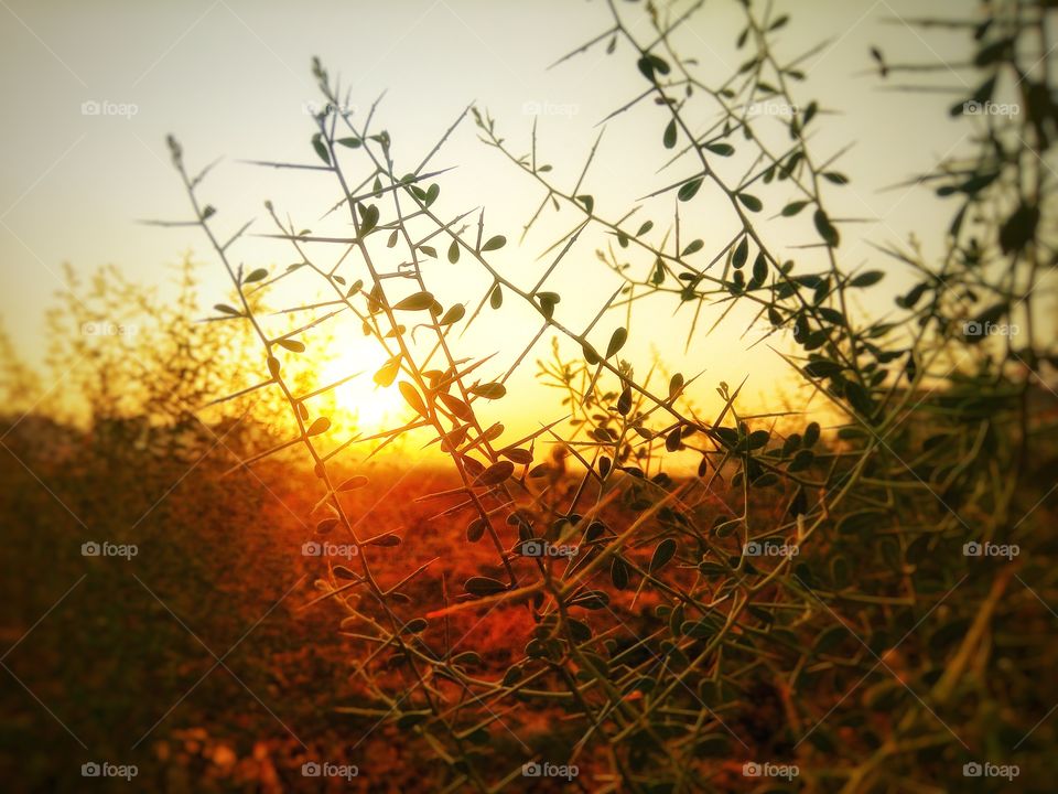 Mobile photography in the morning