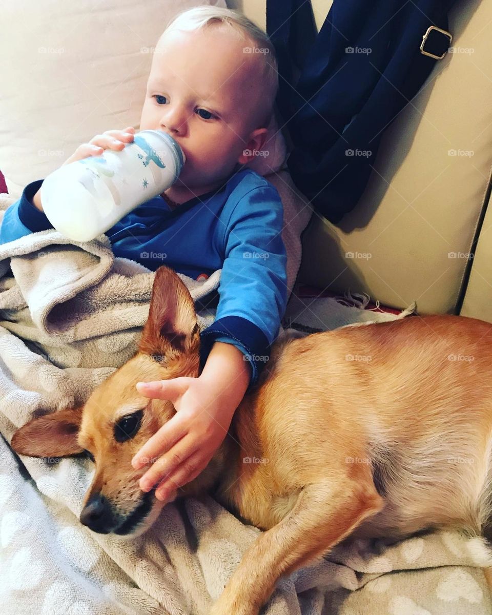 a baby with a feeding bottle and a faithful pet