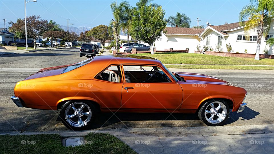 Atomic Orange '69 Nova