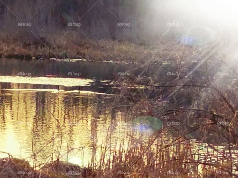 Sitting on the bank watching the sunset.