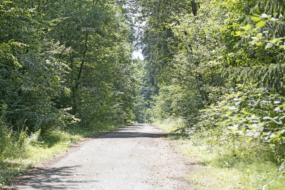 Walking on wild nature forest summer feeling holidays Crete Island Greece amazing places to visit naturalism adventure time hustling daydreaming be free
