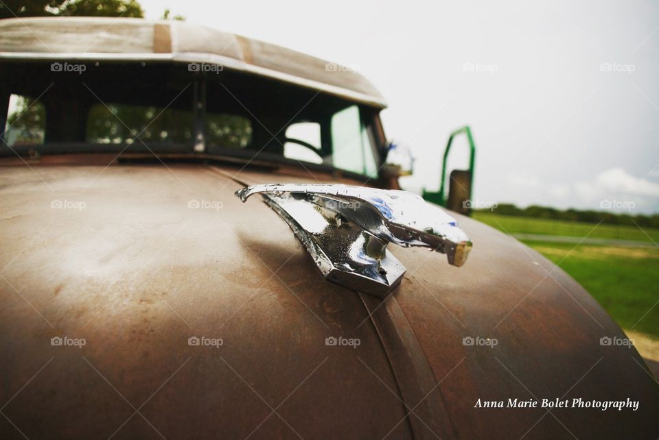 Chevy Truck Hood Ornament circa 1948, Texas Hill Country