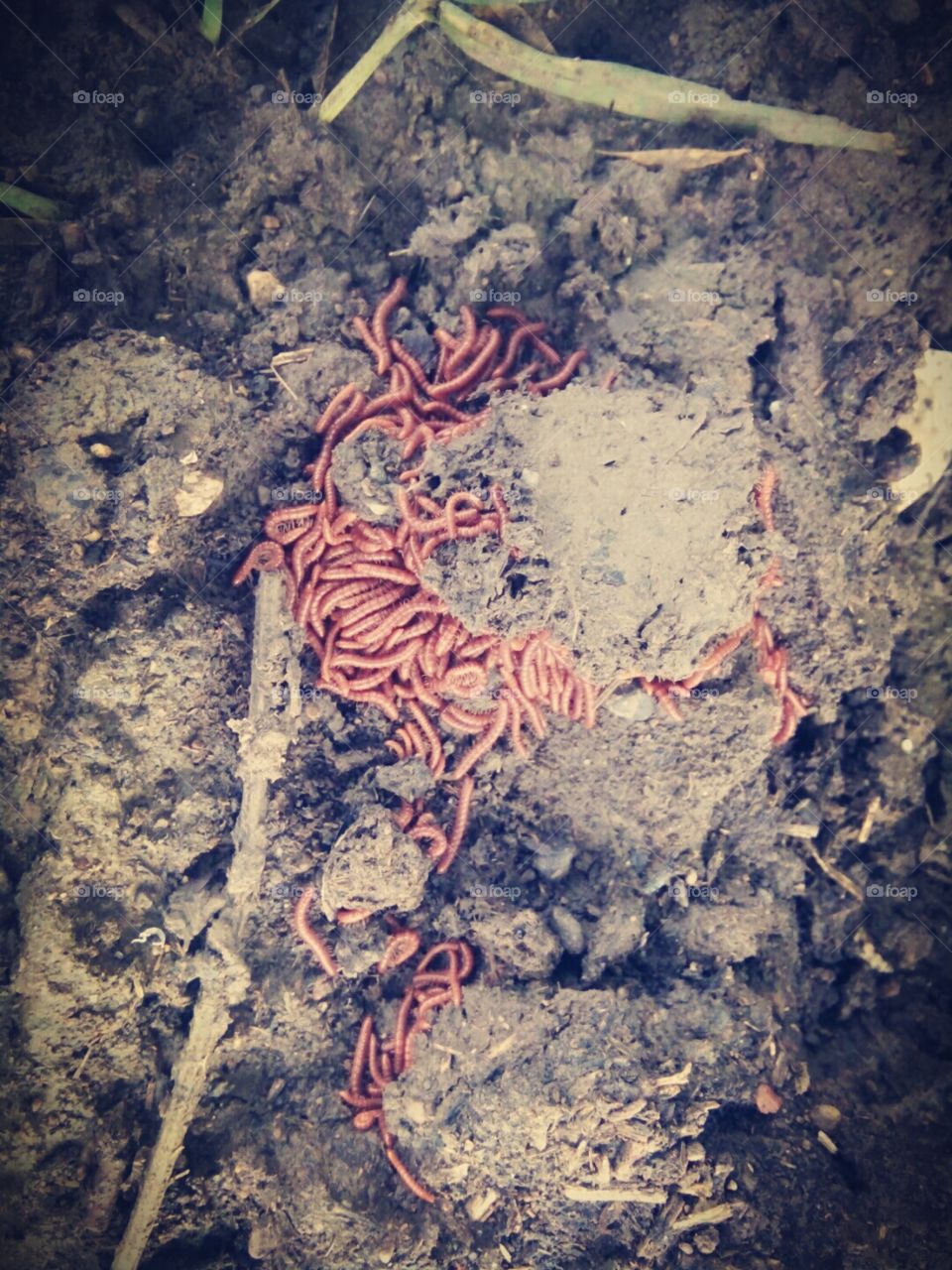 A great photo,a photo for everyone,a memorable photo,a no. photo,a photo to cherish,a beautiful photo,a great photo for the best people,an evergreen photo,a photo to remember for years,the best result of great photography