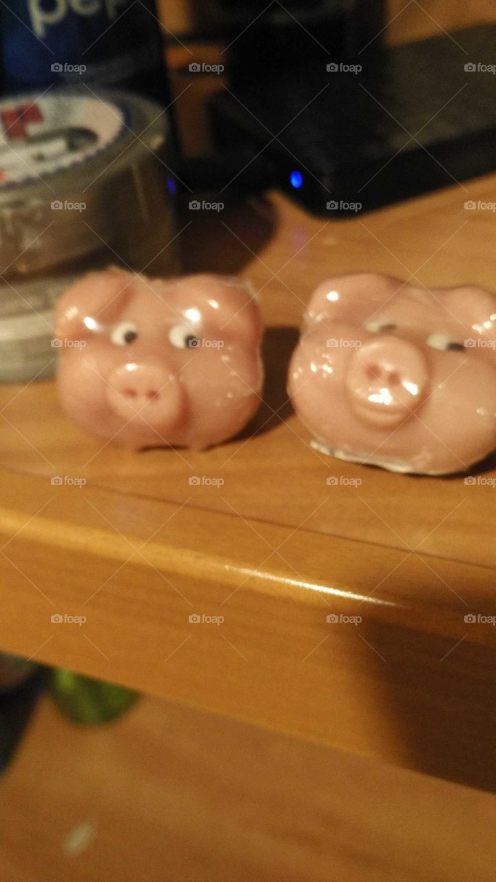 twins pig
