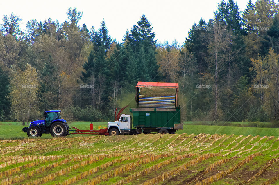 Point A to B. Our community is surrounded by farms of a wide variety of produce and livestock. This farmer has a dairy farm and grows crops for his herds. Here he is mowing & collecting the final growths & mulching it for silage.  🐄