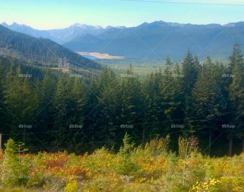 A field of colorful grass in reds, golds, yellows and orange with clouds hovering above the foothills on a warm autumn day.