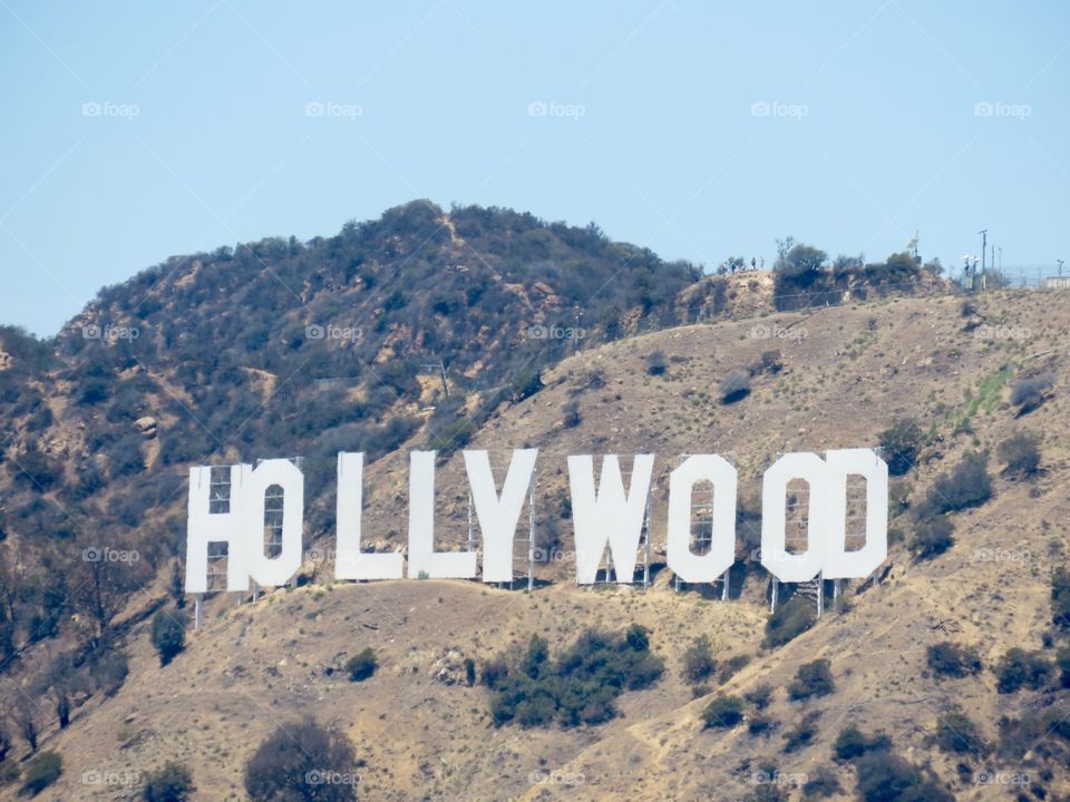 Hollywood