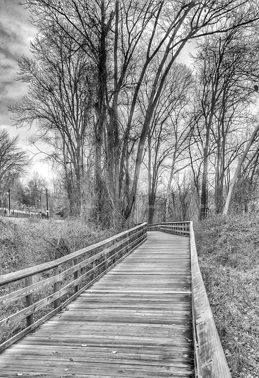 Black and white path