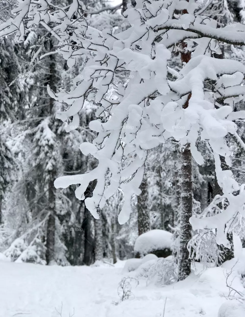 Snow