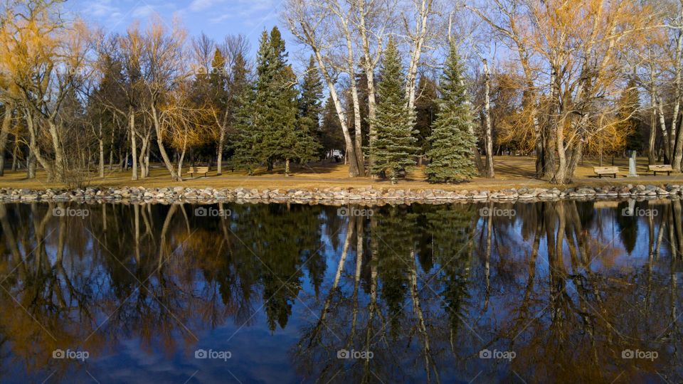 Reflection of trees on lake