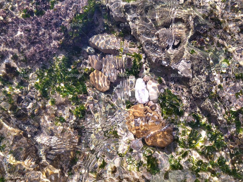 stone in the beach water