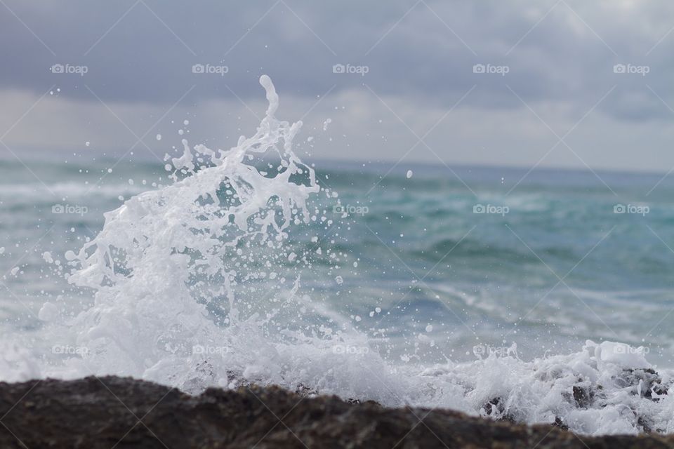 Ocean Splash