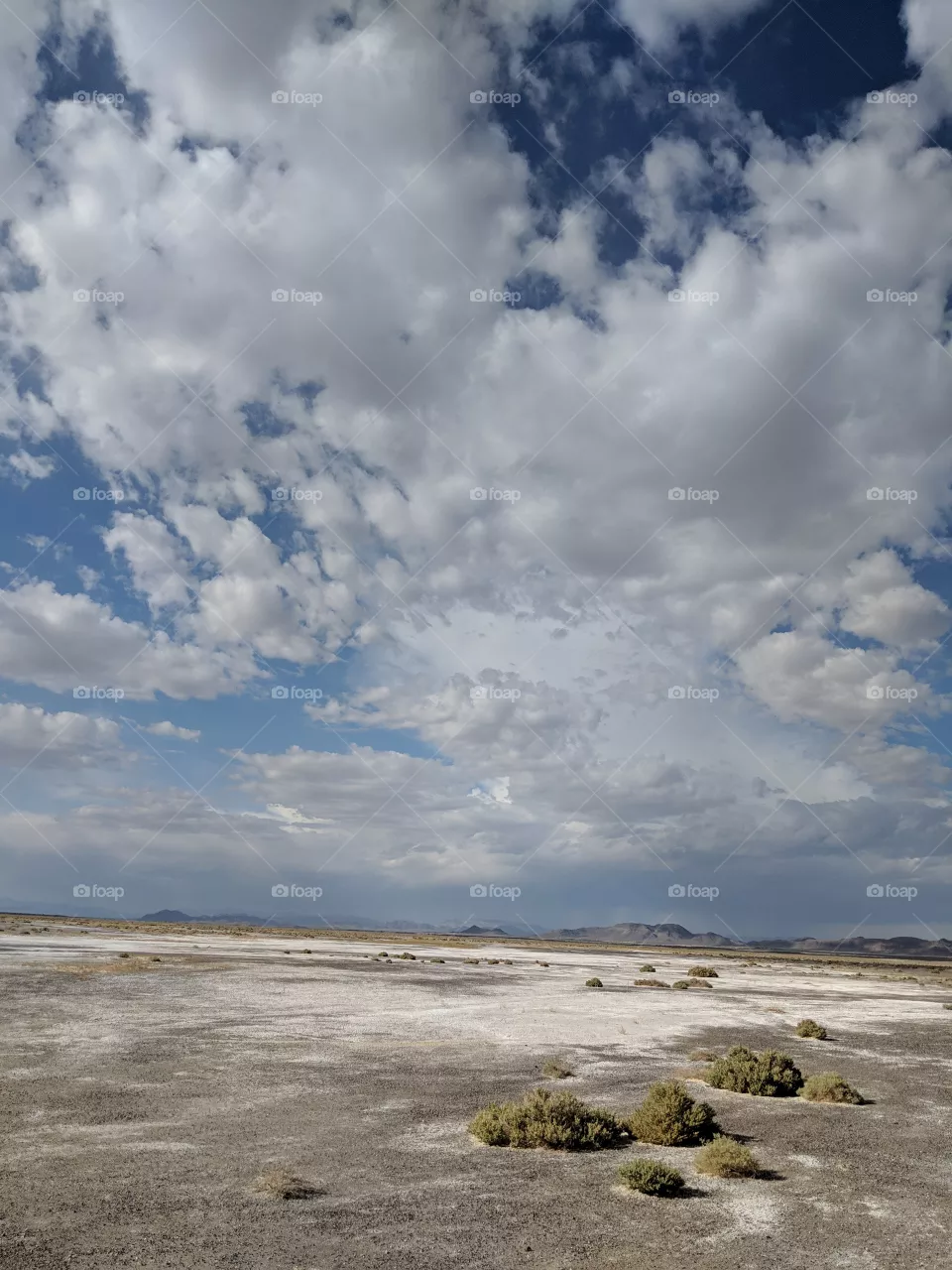 salt & Clouds