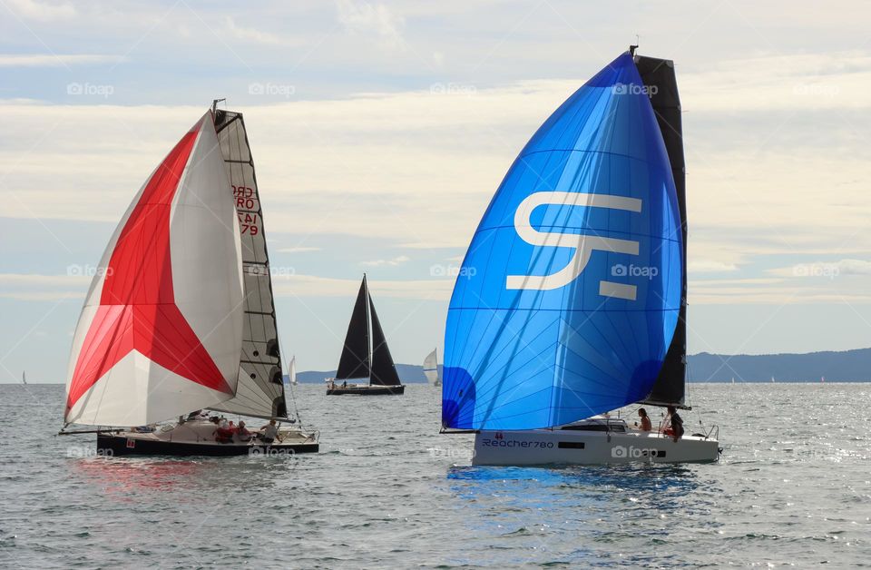 The sailboats are approaching the finish line of the regatta