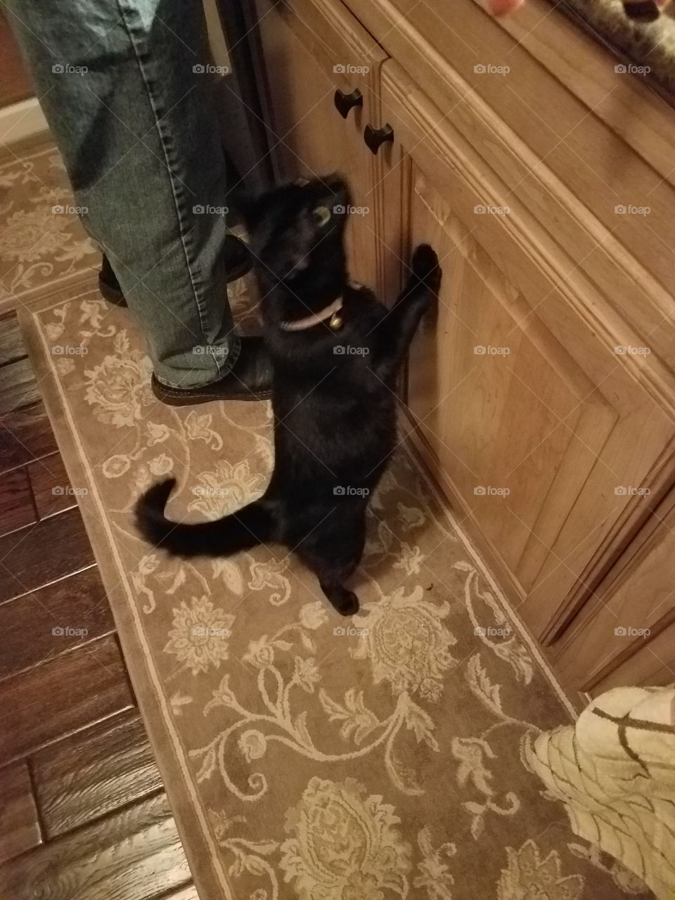 Helping with Dinner