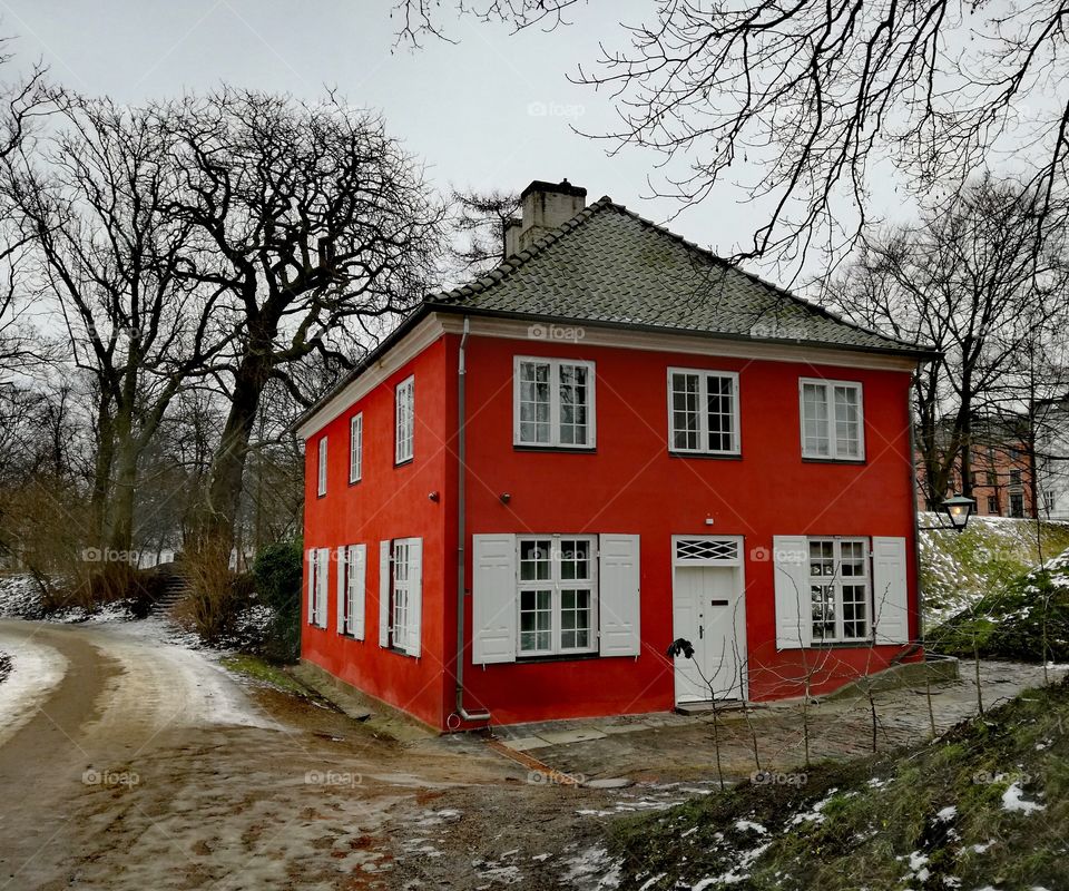 Red Viking House