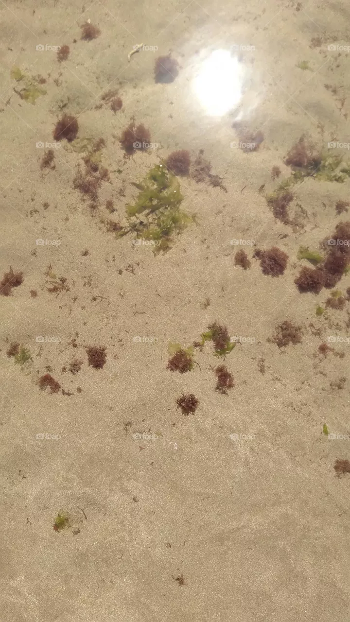 Golden Sands