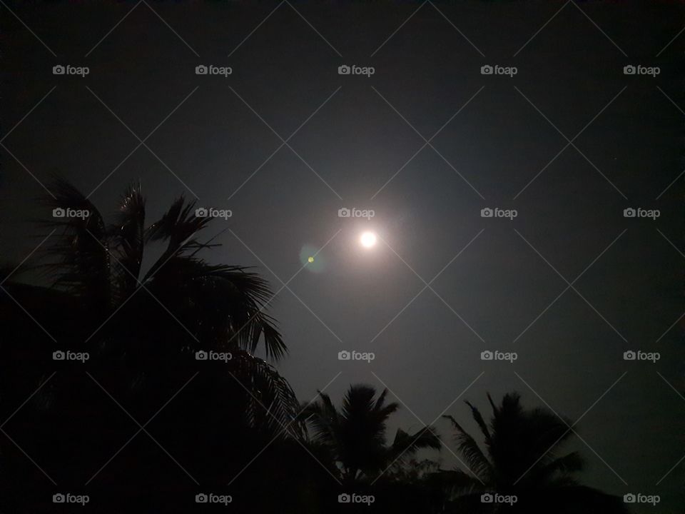 moon night