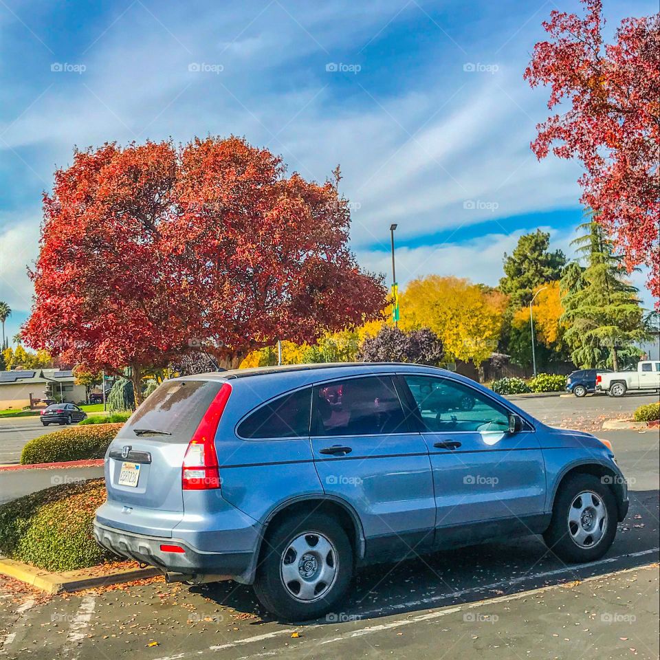 A fine vehicle in the parking lot.