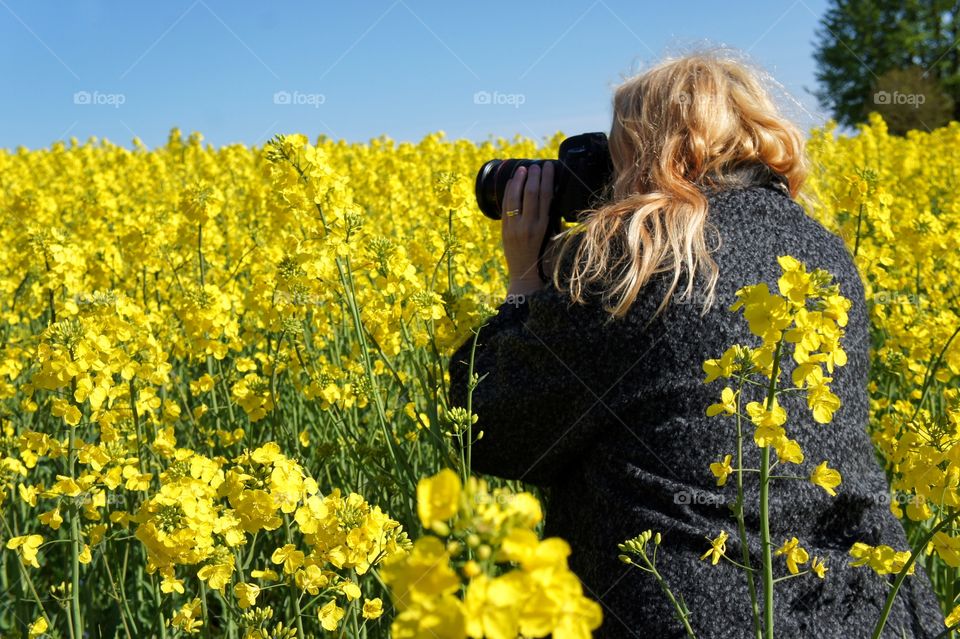 Rear view of a woman capturing flowers