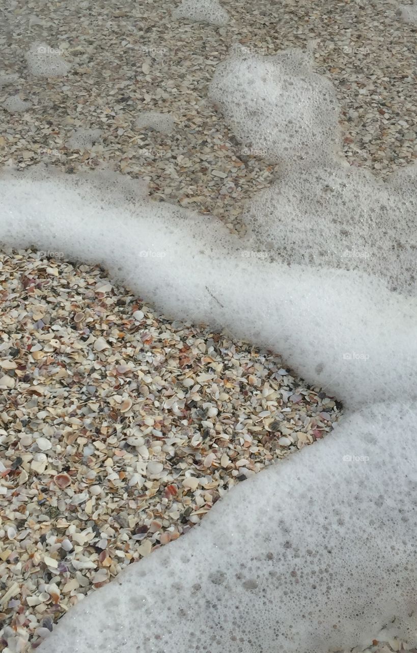 Sandy shells on the gulf