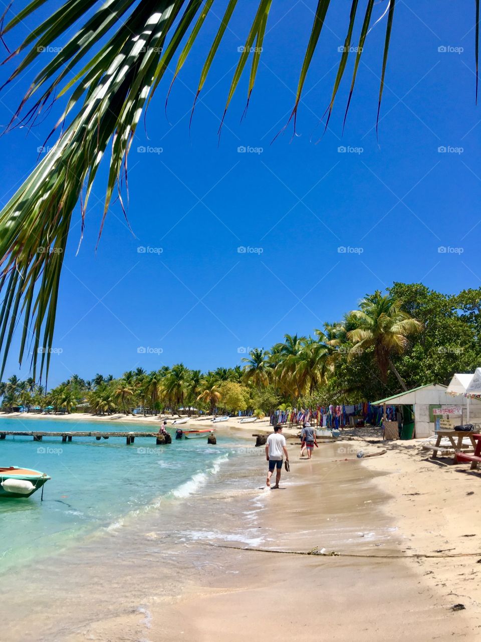 Secluded Caribbean Beach