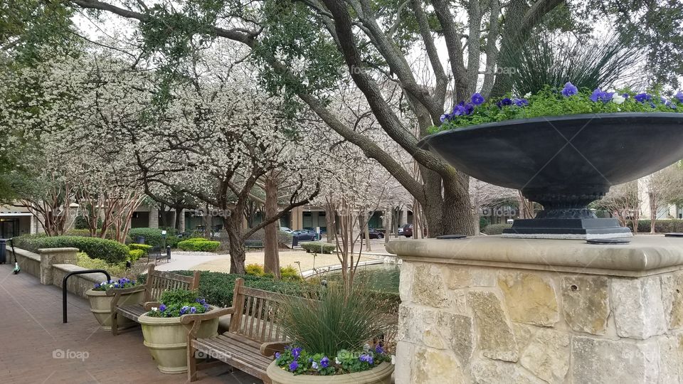 Spring time Shops at Legacy