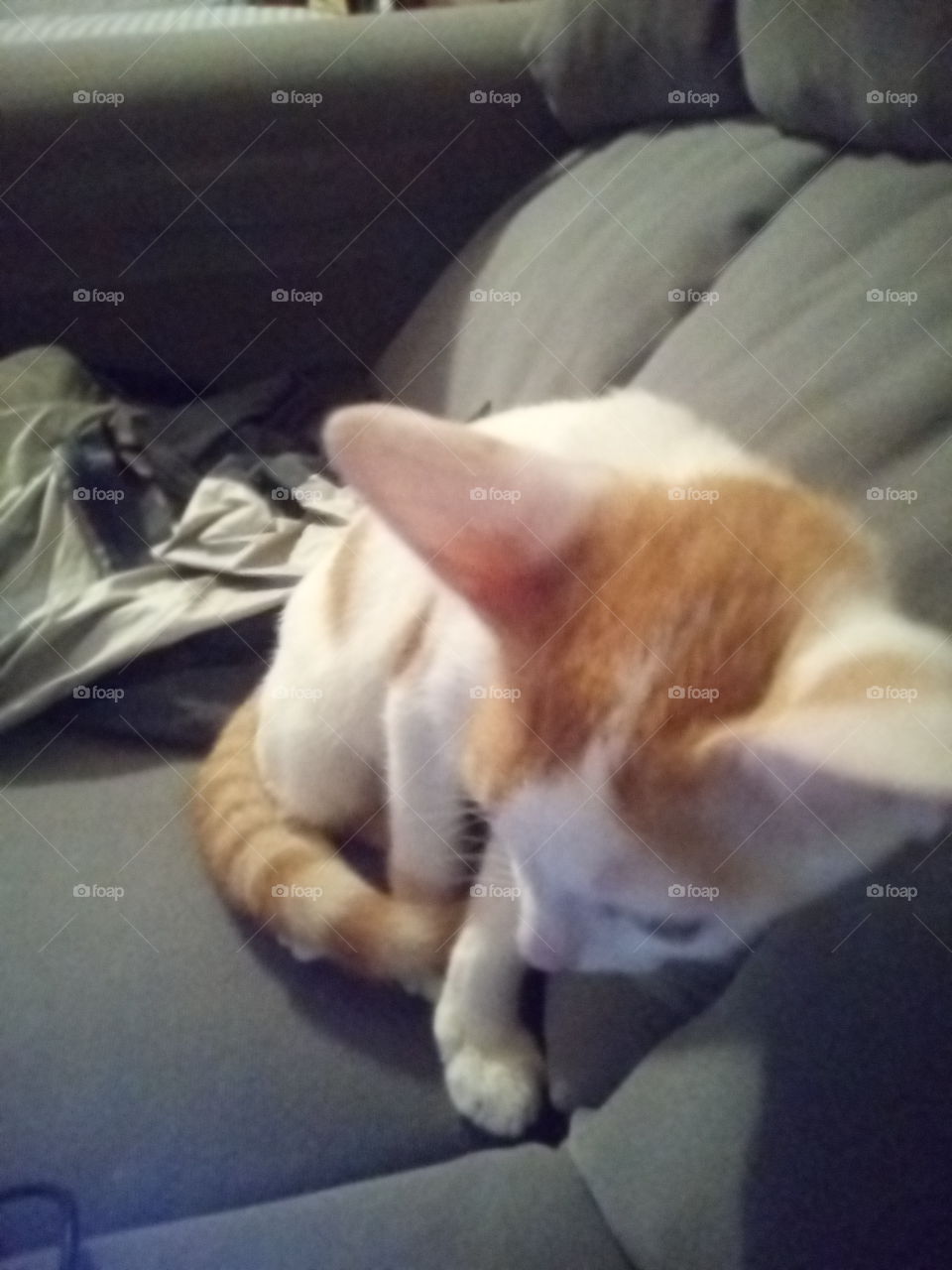 the moment we share together the time's we spent together was one of the greatest .