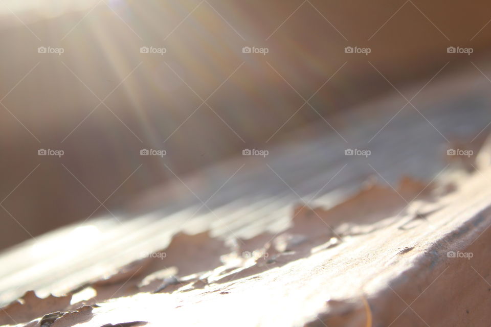 Sun peeled light rays