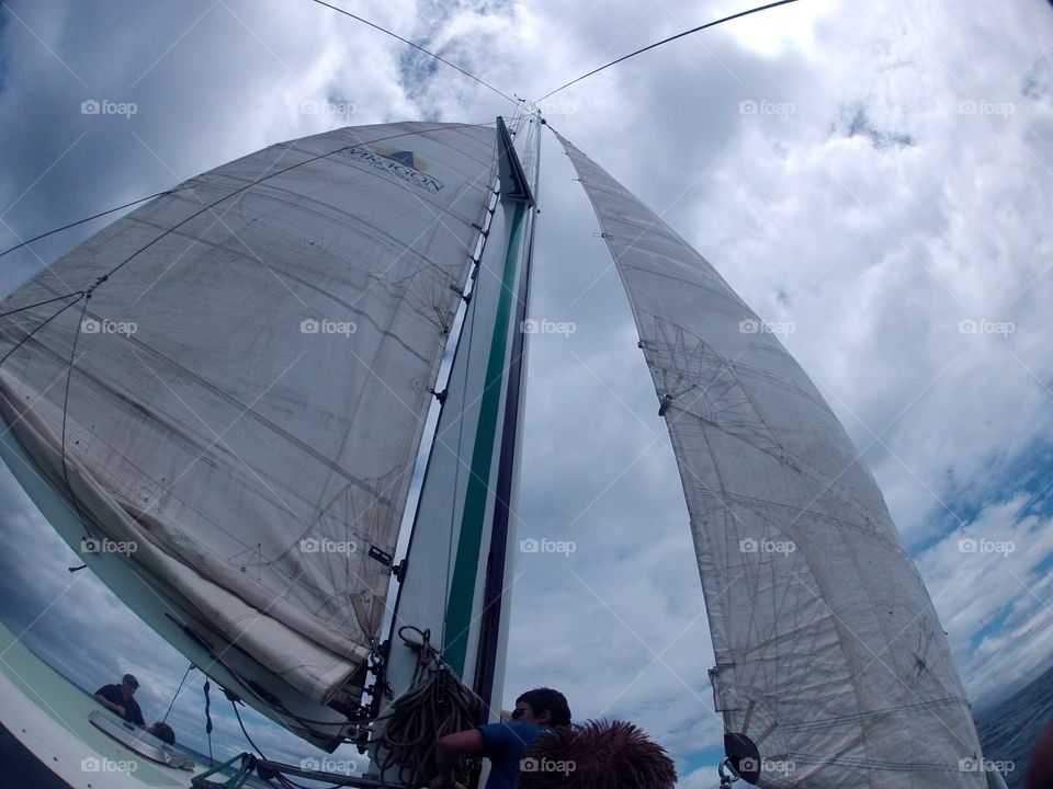 Set sail!. Looking up
At the sails on a sailboat